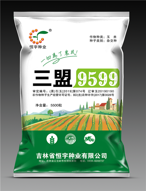 恒宇三盟9599
